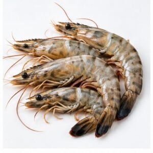 Tiger Prawns